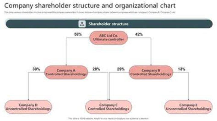 Can S Corp shareholders be employees?